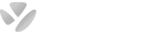 ybrain